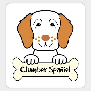 Clumber Spaniel Sticker